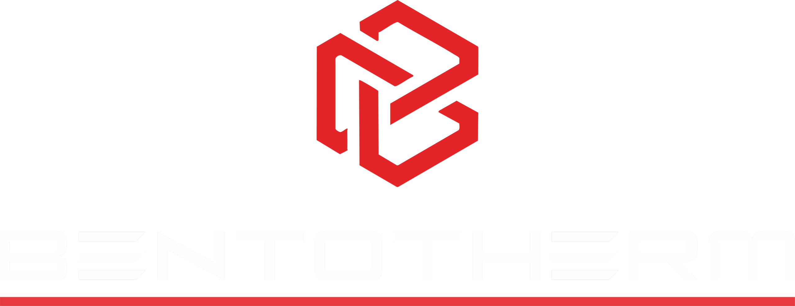 bentotherm logo beyazlı